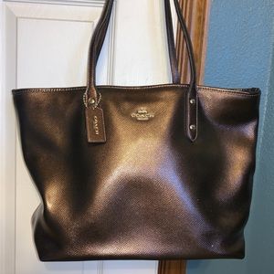 Bronze Coach Purse